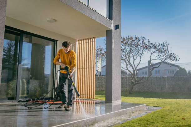 Best Soft Washing for Delicate Surfaces in Nekoosa, WI